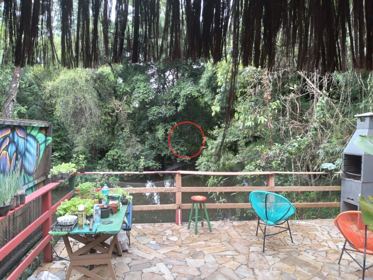 Casa, 3 quartos, 256 m² - Foto 29