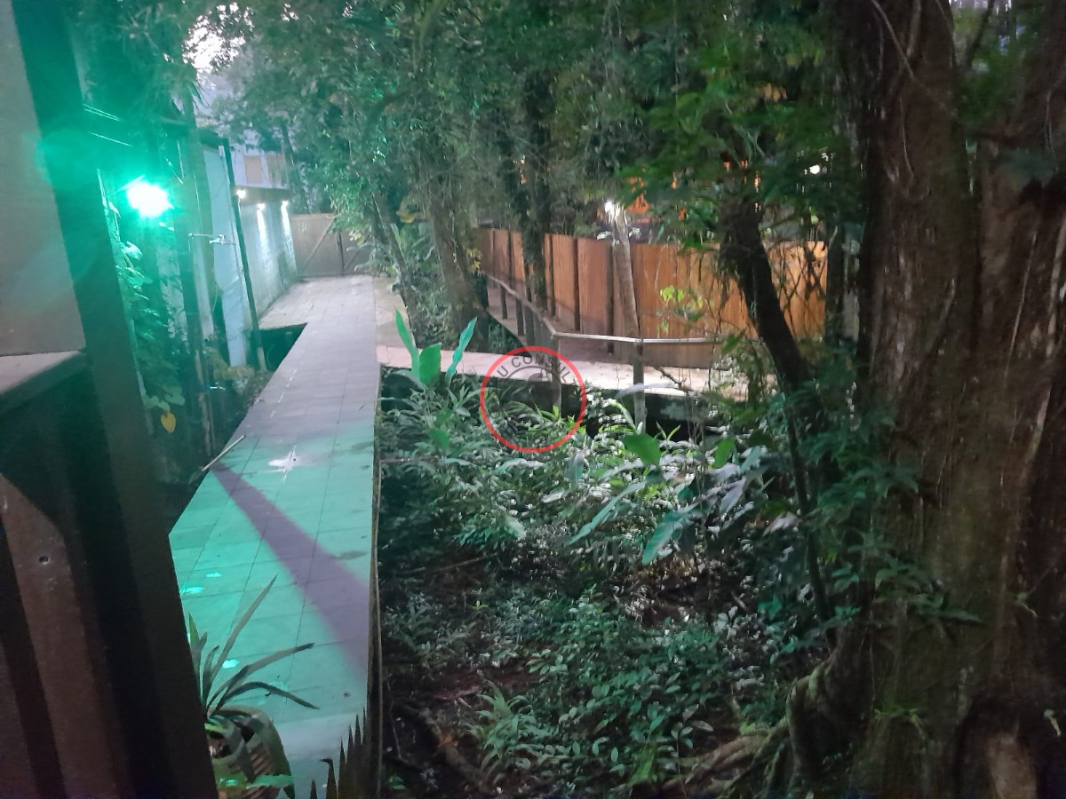 Casa, 3 quartos, 256 m² - Foto 4