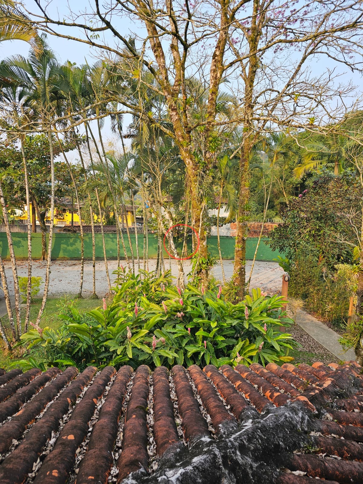 Casa, 2 quartos, 150 m² - Foto 33