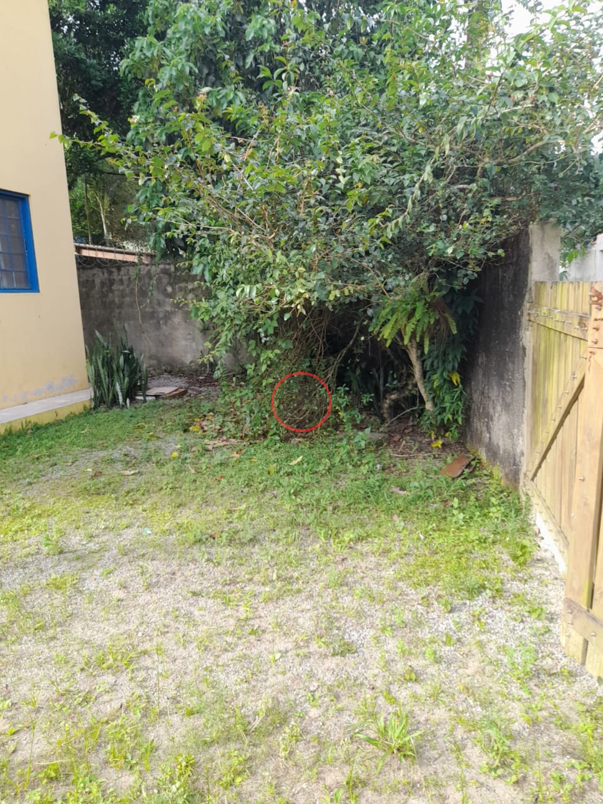 Casa, 2 quartos, 100 m² - Foto 19