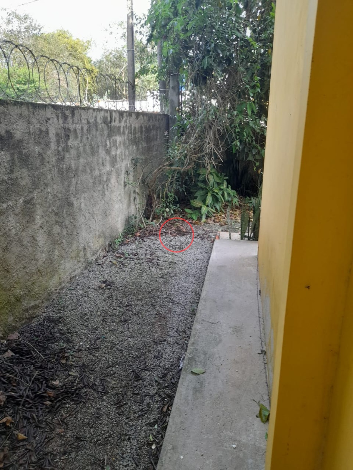 Casa, 2 quartos, 100 m² - Foto 13