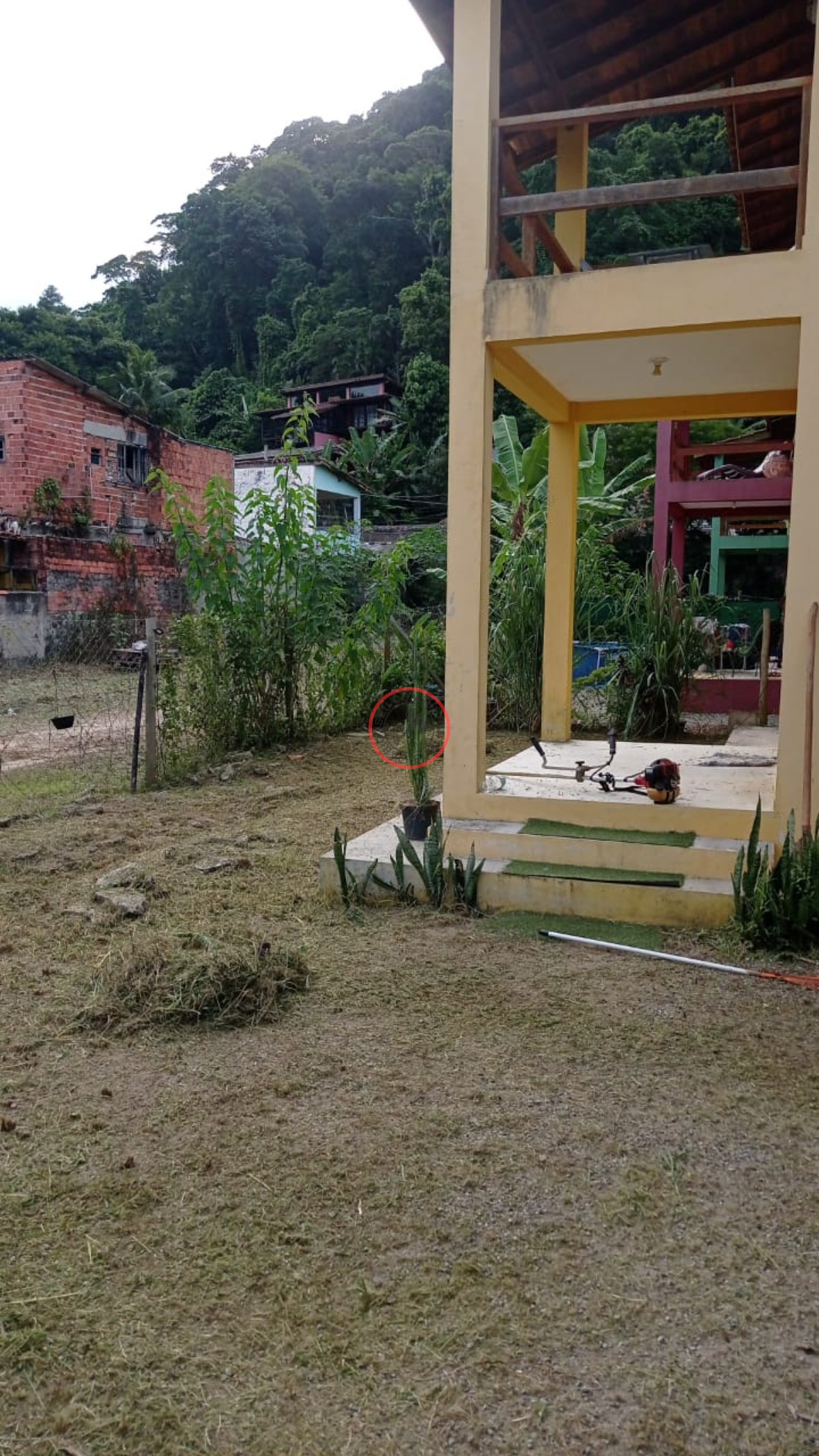 Casa, 2 quartos, 100 m² - Foto 16