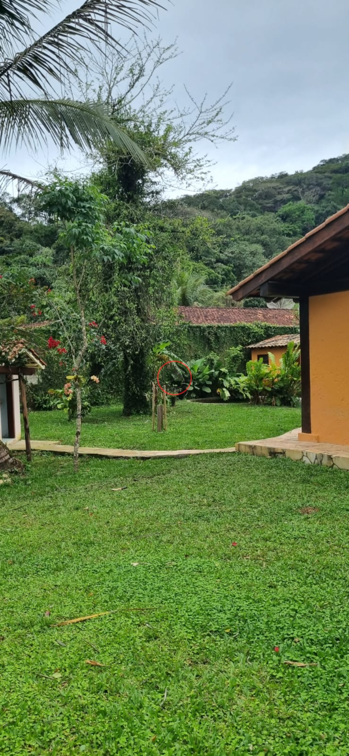 , cambury,lindo sítio com 1500mt .4 suites sala cozinha lare