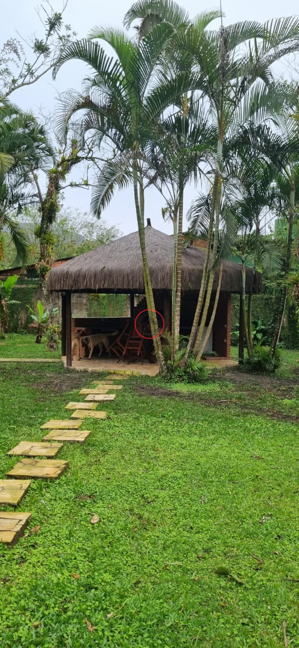, cambury,lindo sítio com 1500mt .4 suites sala cozinha lare