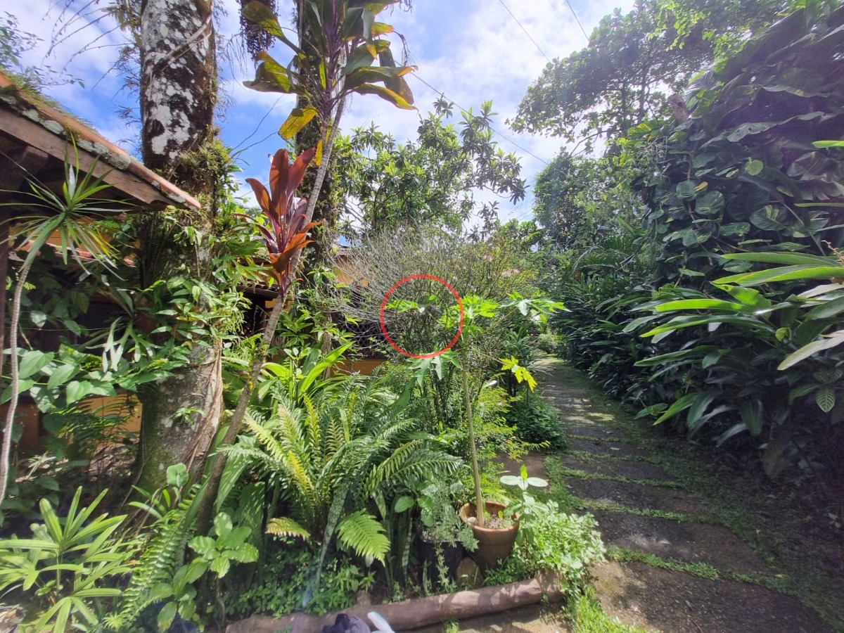 Casa, 2 quartos, 34 m² - Foto 4