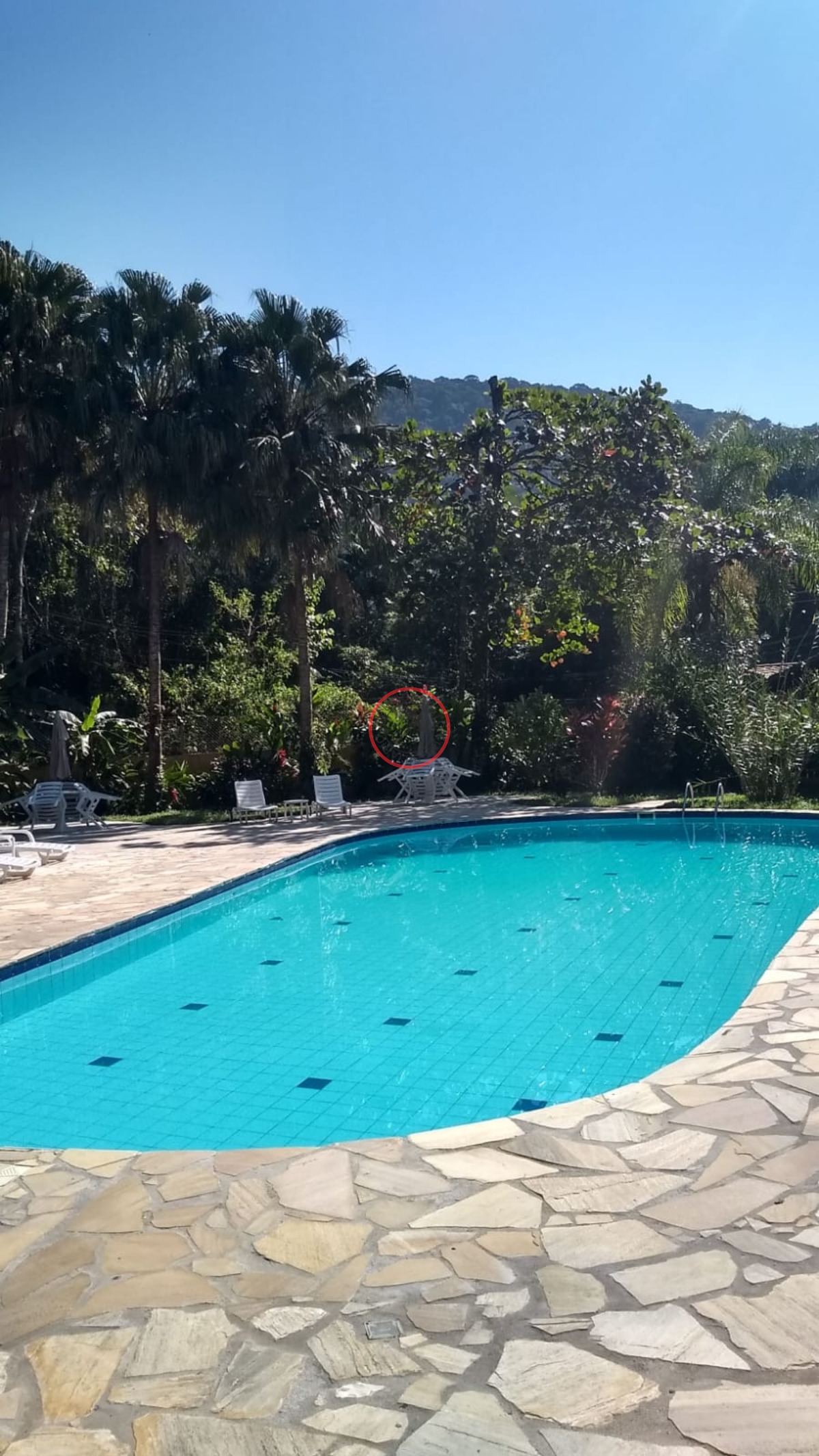 Casa, 2 quartos, 34 m² - Foto 28