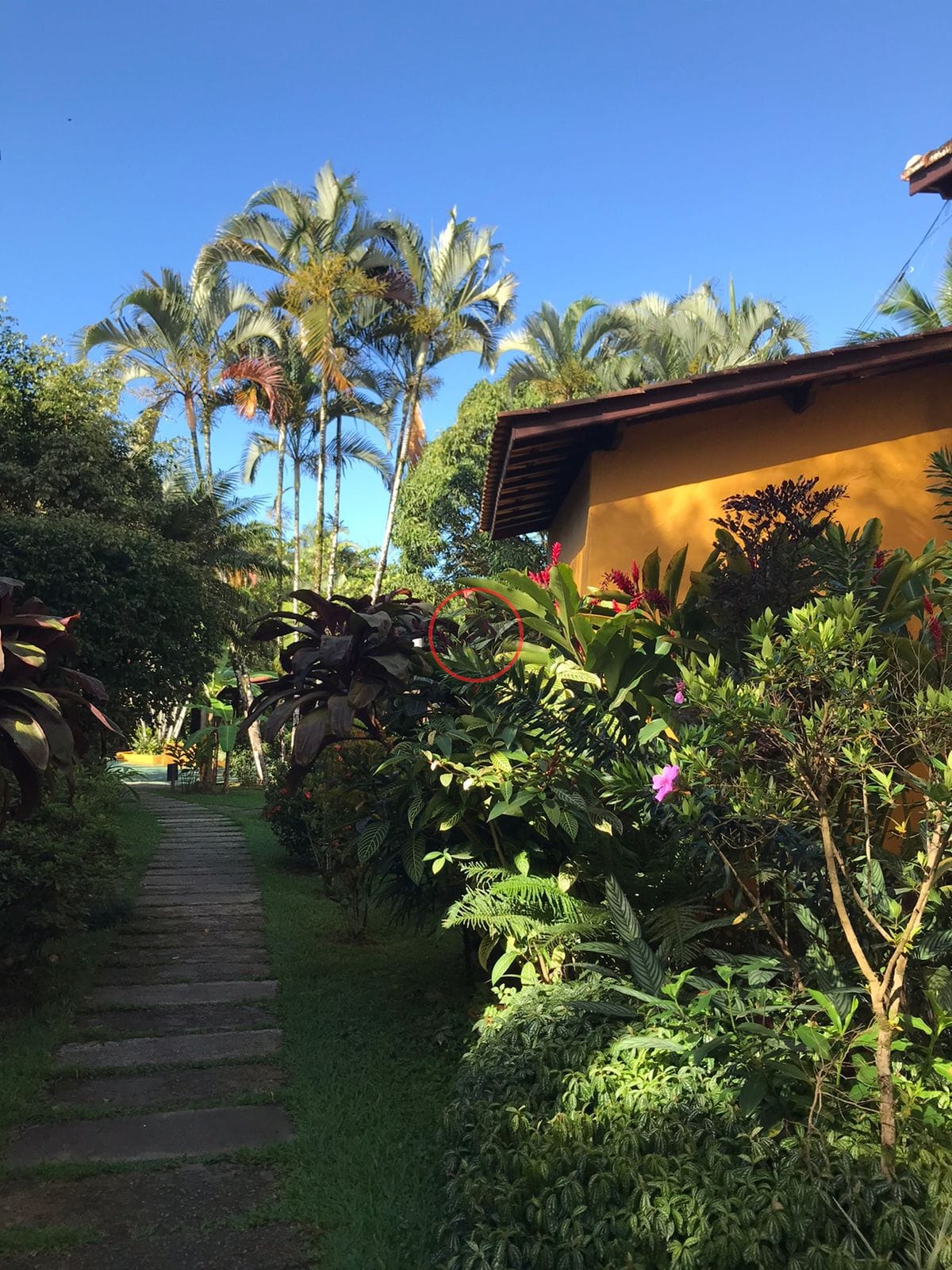 Casa, 2 quartos, 34 m² - Foto 6