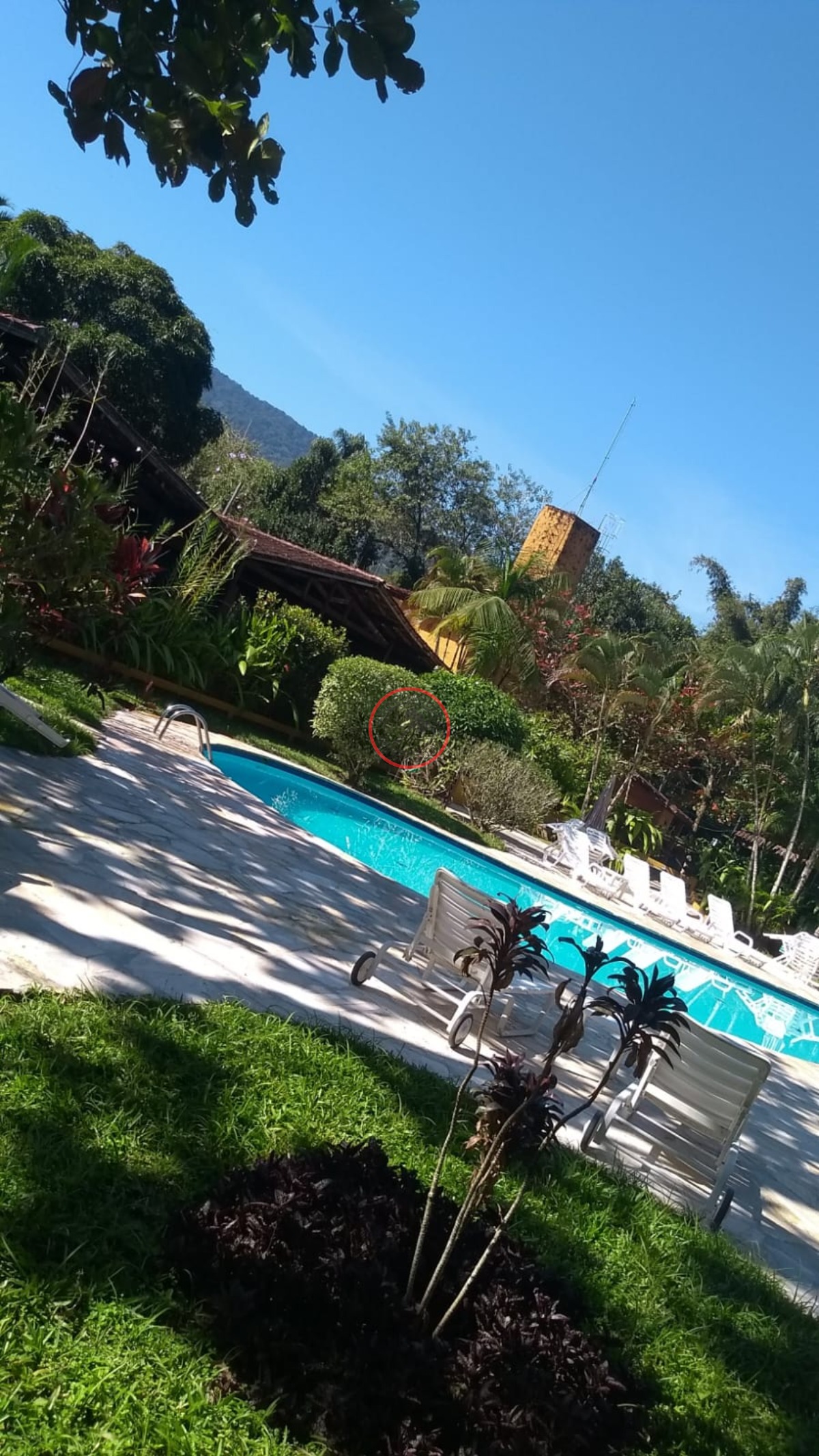 Casa, 2 quartos, 34 m² - Foto 29